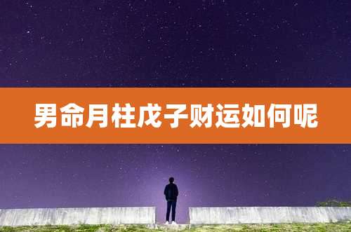男命月柱戊子财运如何呢