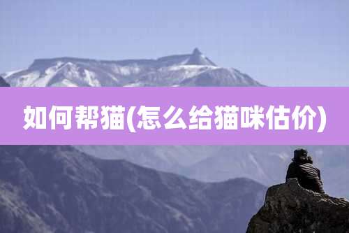 如何帮猫(怎么给猫咪估价)