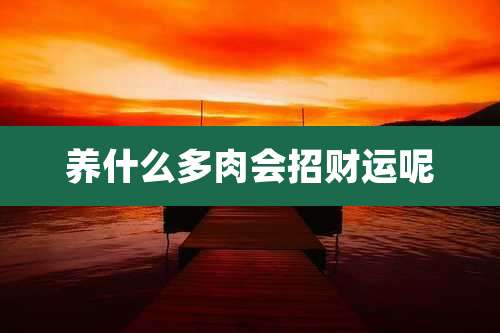 养什么多肉会招财运呢