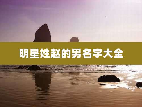 明星姓赵的男名字大全