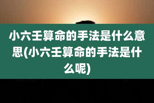 小六壬算命的手法是什么意思(小六壬算命的手法是什么呢)