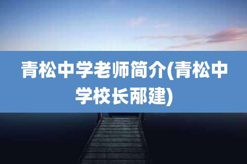 青松中学老师简介(青松中学校长邴建)