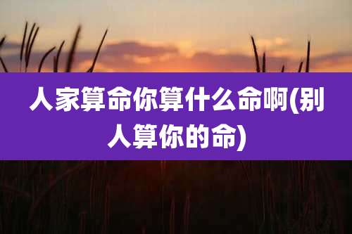 人家算命你算什么命啊(别人算你的命)