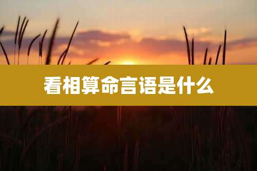 看相算命言语是什么