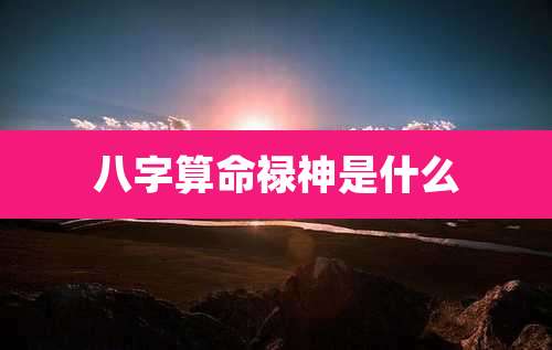 八字算命禄神是什么