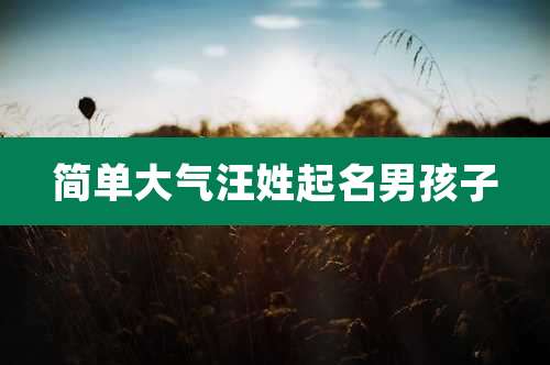 简单大气汪姓起名男孩子