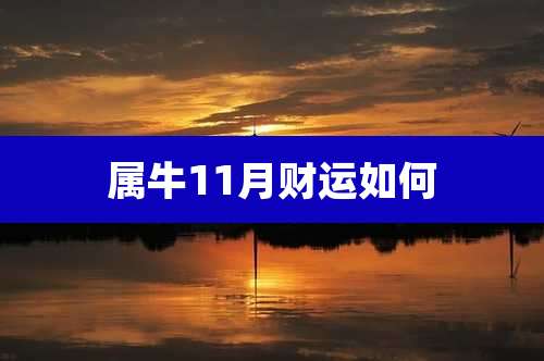属牛11月财运如何