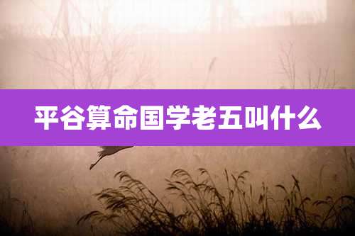 平谷算命国学老五叫什么