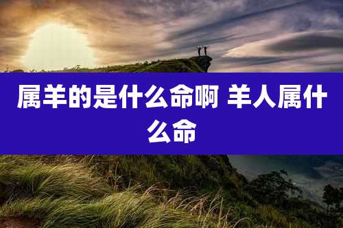 属羊的是什么命啊 羊人属什么命