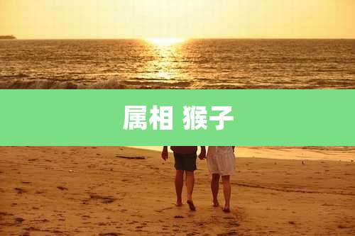 属相 猴子