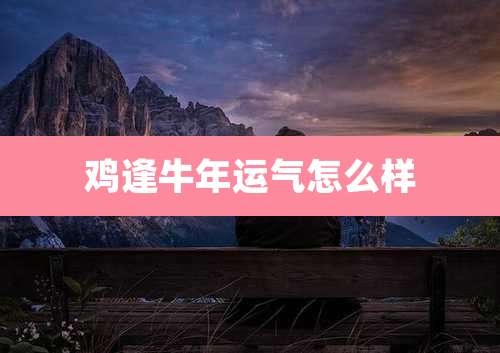鸡逢牛年运气怎么样
