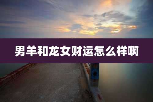 男羊和龙女财运怎么样啊