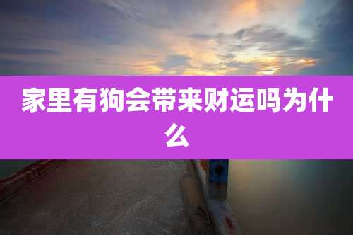 家里有狗会带来财运吗为什么