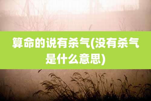 算命的说有杀气(没有杀气是什么意思)