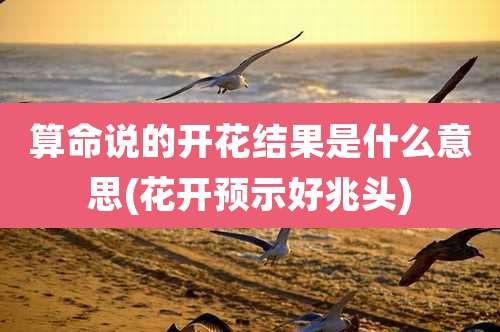 算命说的开花结果是什么意思(花开预示好兆头)