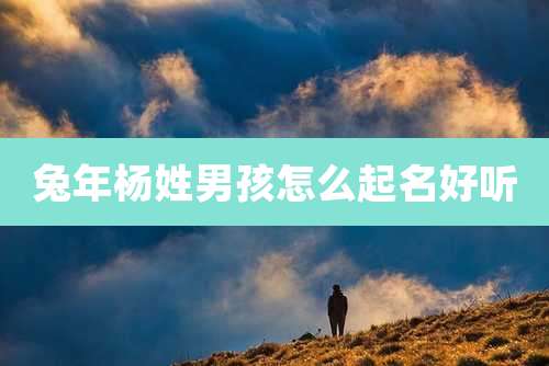 兔年杨姓男孩怎么起名好听