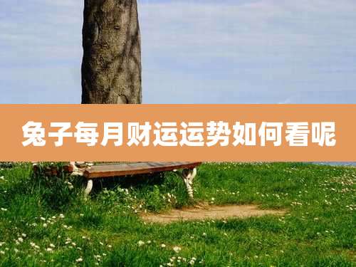 兔子每月财运运势如何看呢