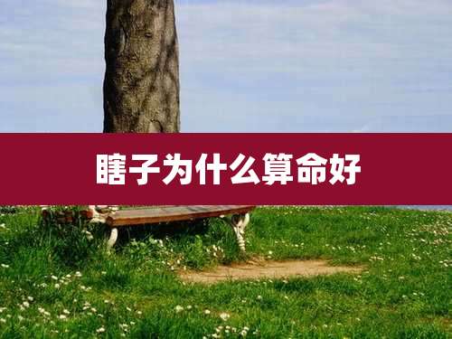 瞎子为什么算命好