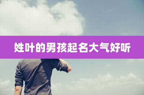 姓叶的男孩起名大气好听