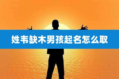 姓韦缺木男孩起名怎么取