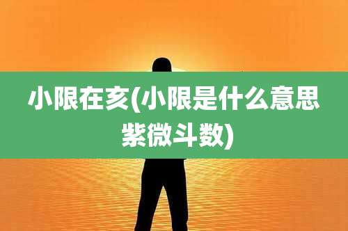 小限在亥(小限是什么意思 紫微斗数)