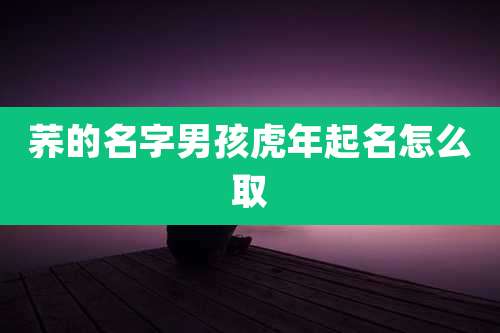 荞的名字男孩虎年起名怎么取