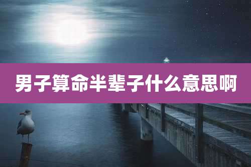 男子算命半辈子什么意思啊
