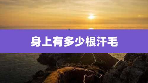 身上有多少根汗毛