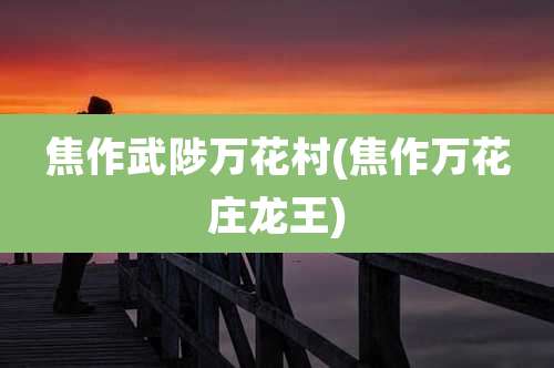 焦作武陟万花村(焦作万花庄龙王)