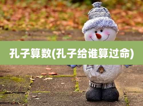 孔子算数(孔子给谁算过命)