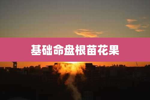 基础命盘根苗花果