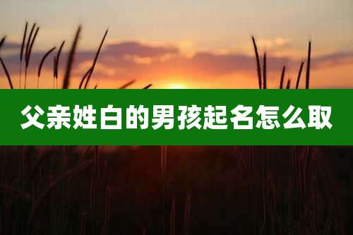 父亲姓白的男孩起名怎么取