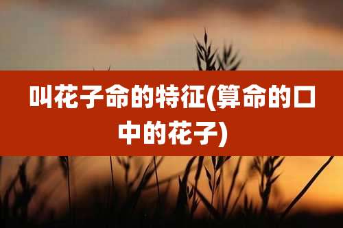 叫花子命的特征(算命的口中的花子)