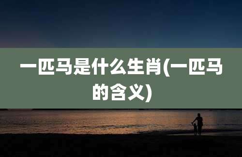 一匹马是什么生肖(一匹马的含义)