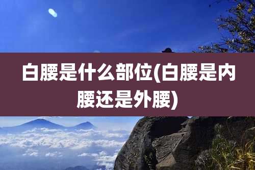 白腰是什么部位(白腰是内腰还是外腰)