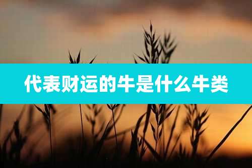 代表财运的牛是什么牛类