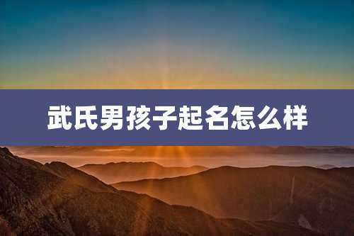 武氏男孩子起名怎么样
