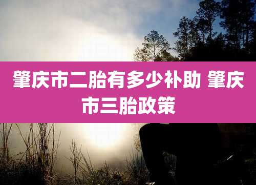 肇庆市二胎有多少补助 肇庆市三胎政策