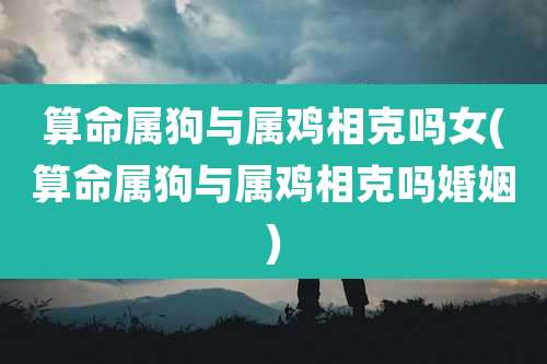 算命属狗与属鸡相克吗女(算命属狗与属鸡相克吗婚姻)