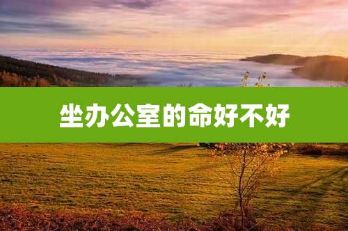 坐办公室的命好不好