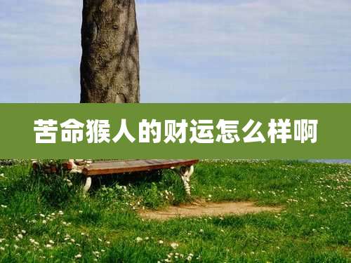 苦命猴人的财运怎么样啊