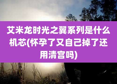 艾米龙时光之翼系列是什么机芯(怀孕了又自己掉了还用清宫吗)