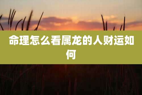 命理怎么看属龙的人财运如何