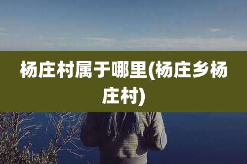 杨庄村属于哪里(杨庄乡杨庄村)