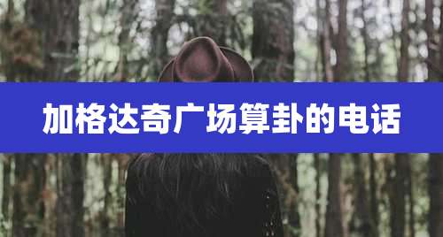 加格达奇广场算卦的电话