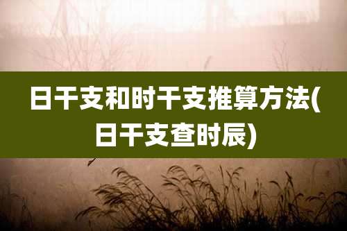 日干支和时干支推算方法(日干支查时辰)