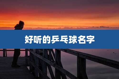 好听的乒乓球名字