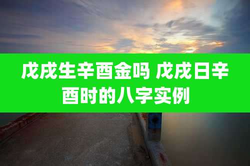 戊戌生辛酉金吗 戊戌日辛酉时的八字实例