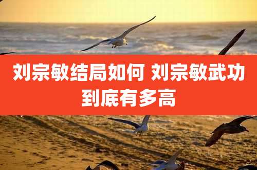 刘宗敏结局如何 刘宗敏武功到底有多高