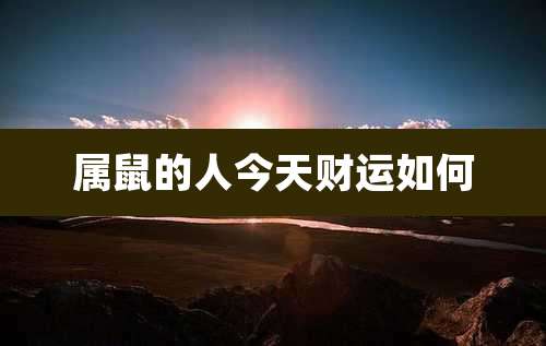 属鼠的人今天财运如何